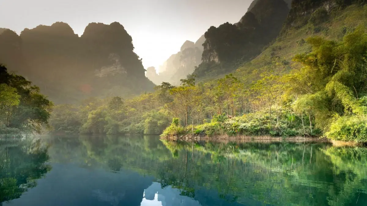 可靠性科技